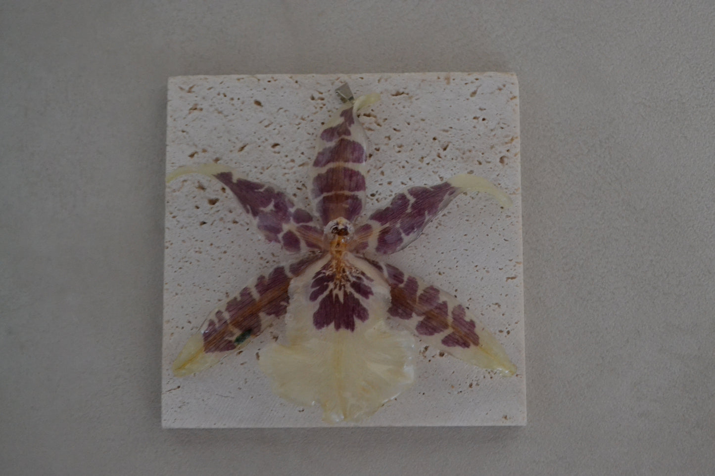 Pandantiv orhidee naturală - Vis african