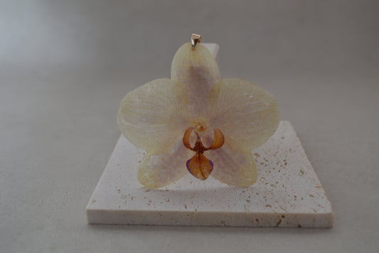 Pandantiv orhidee - Eleganță timidă