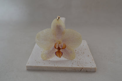 Pandantiv orhidee - Eleganță timidă