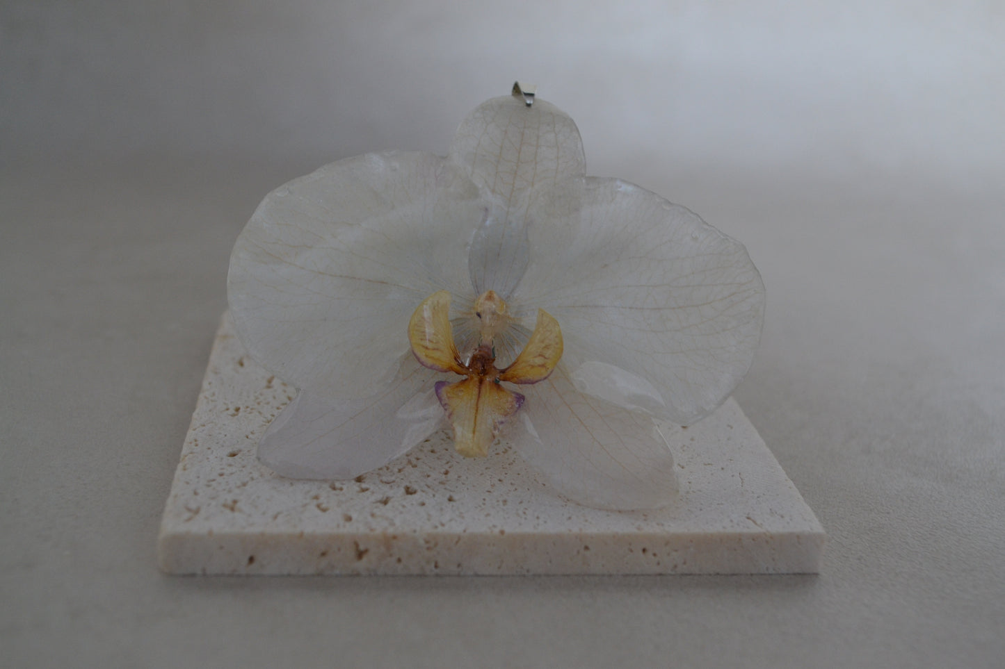 Pandantiv orhidee -Simplitatea albului