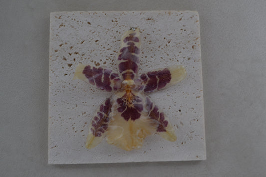 Pandantiv orhidee - Curajul unui nou început