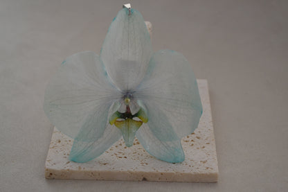 Pandantiv orhidee - Valurile vieții