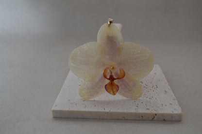 Pandantiv orhidee - Eleganță timidă