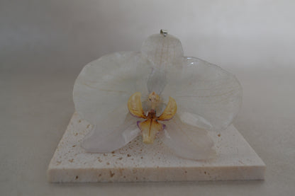 Pandantiv orhidee -Simplitatea albului