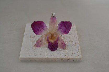 Padantiv orhidee- Frumusete naturală