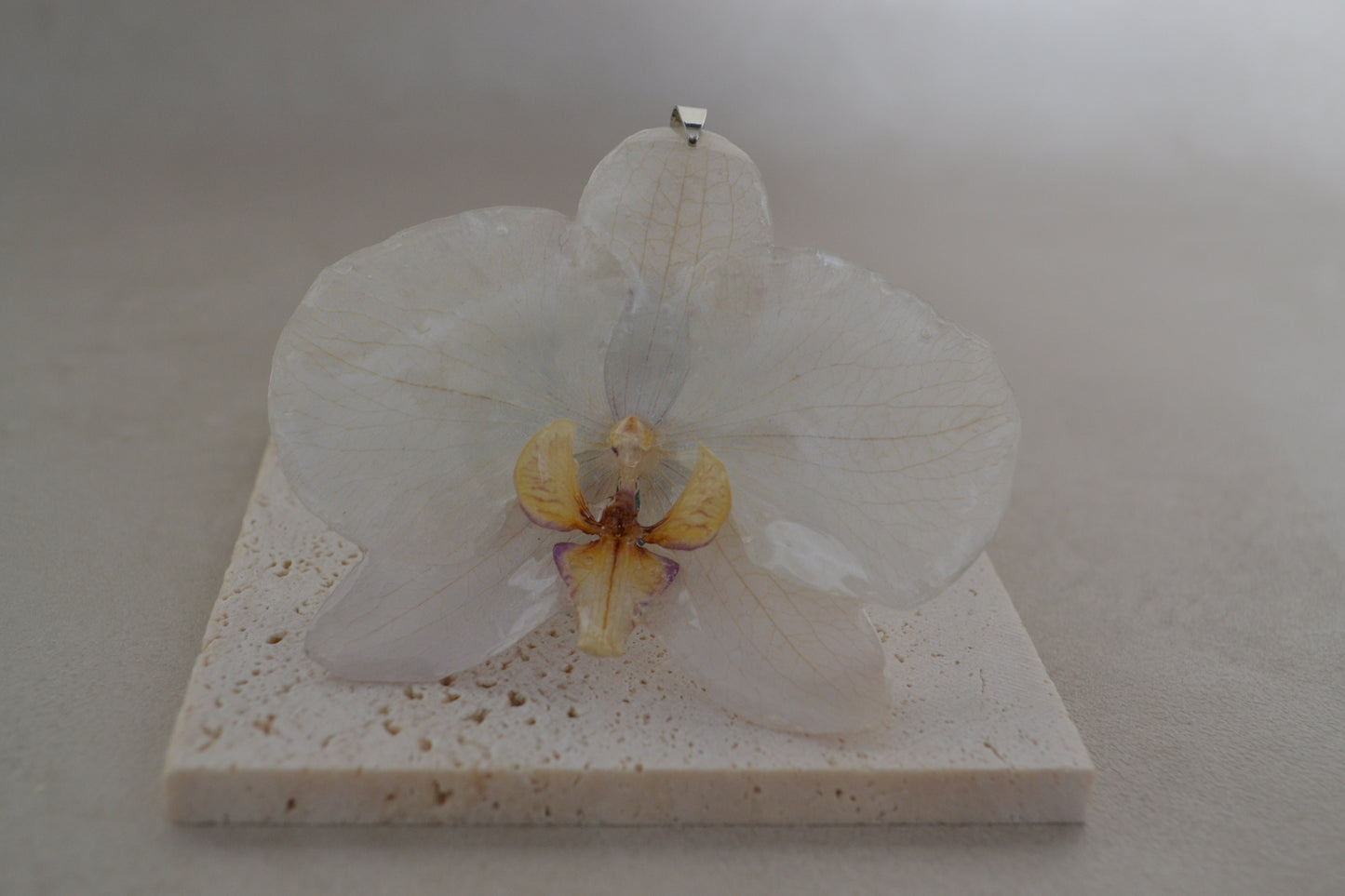 Pandantiv orhidee -Simplitatea albului