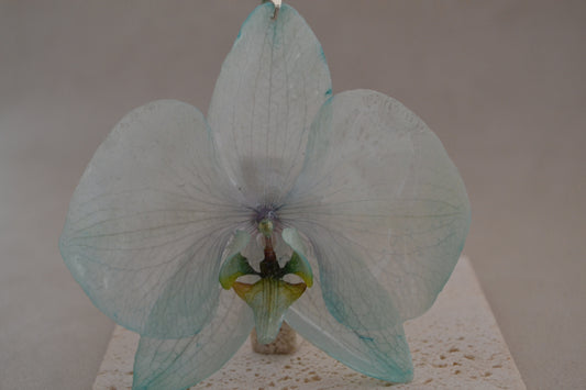 Pandantiv orhidee- Cu gandul la vara