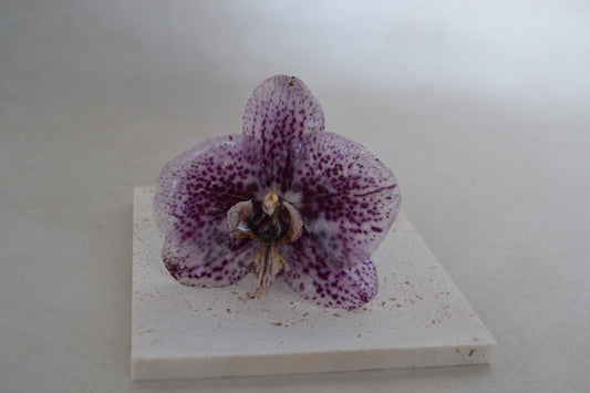 Pandantiv orhidee - Floare misterioasă