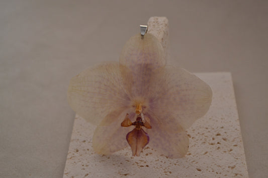 Pandantiv - Orhidee pistruiata