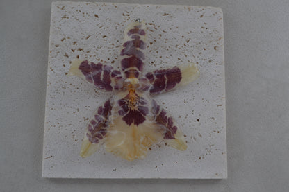 Pandantiv orhidee - Curajul unui nou început