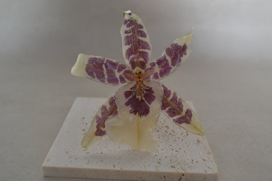 Pandantiv orhidee - Fior de toamnă