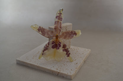 Pandantiv orhidee- Gând african