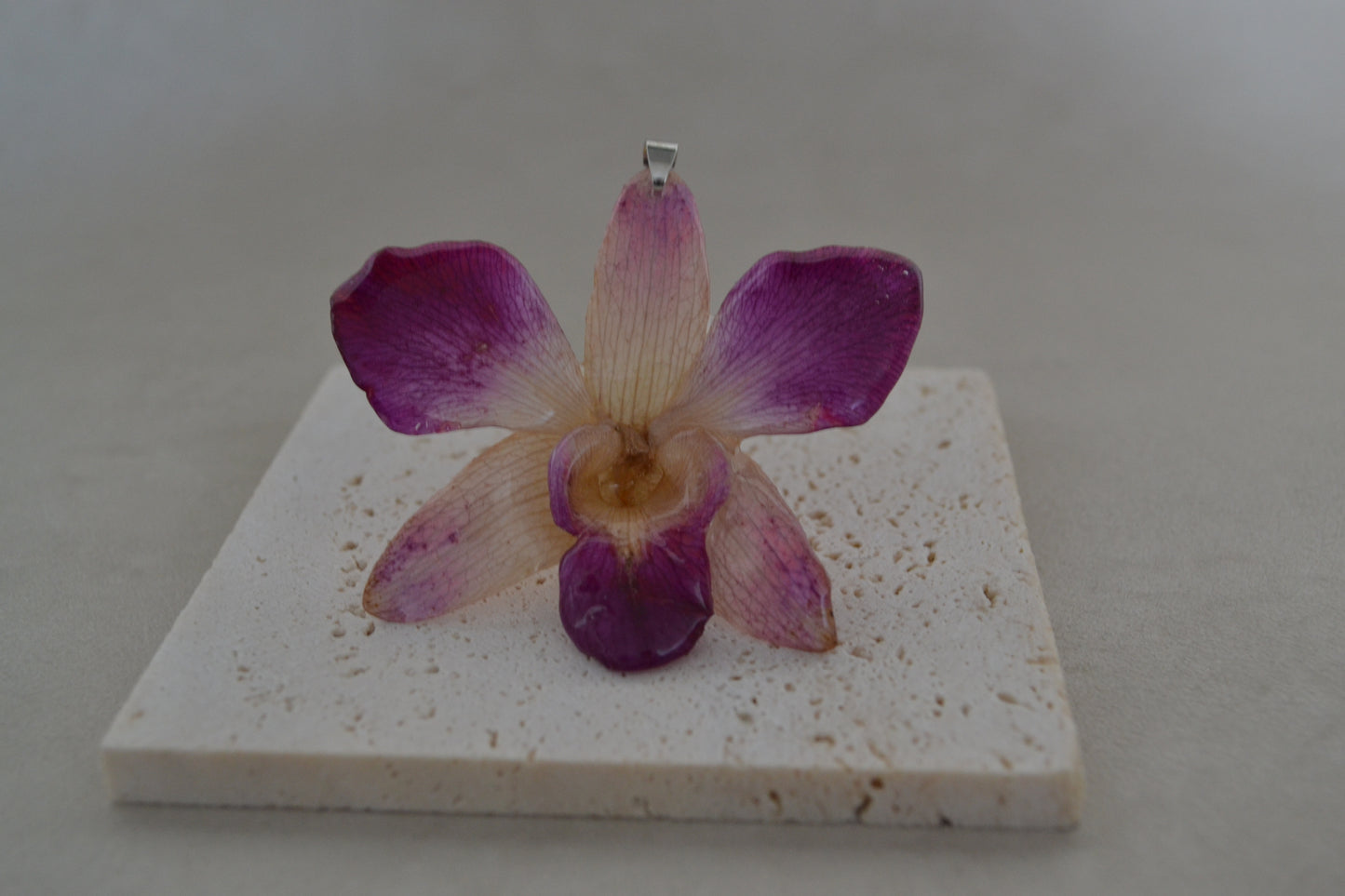 Padantiv orhidee- Frumusete naturală