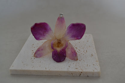 Padantiv orhidee- Frumusete naturală