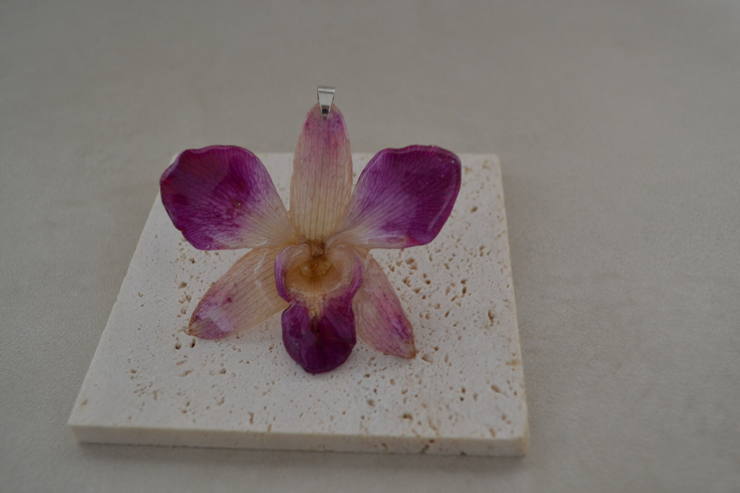 Padantiv orhidee- Frumusete naturală