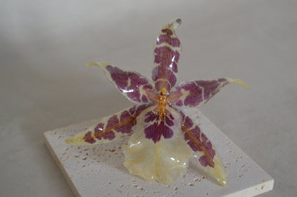 Pandantiv orhidee- Floare pictată de natură