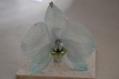 Pandantiv orhidee - Destin