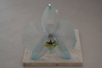 Pandantiv orhidee - Valurile vieții