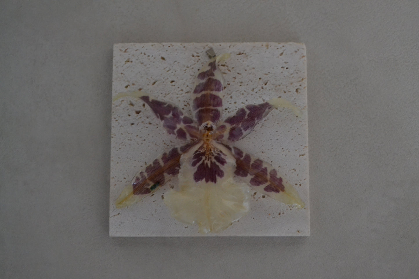 Pandantiv orhidee naturală - Vis african