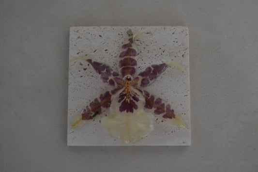 Pandantiv orhidee naturală - Vis african