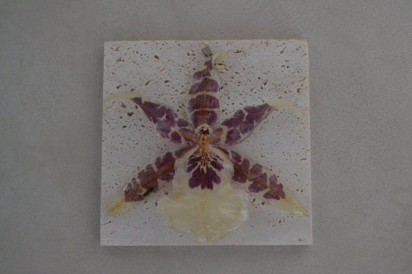 Pandantiv orhidee naturală - Vis african