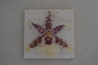 Pandantiv orhidee naturală - Vis african