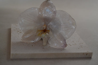 Pandantiv orhidee - Strălucire naturală